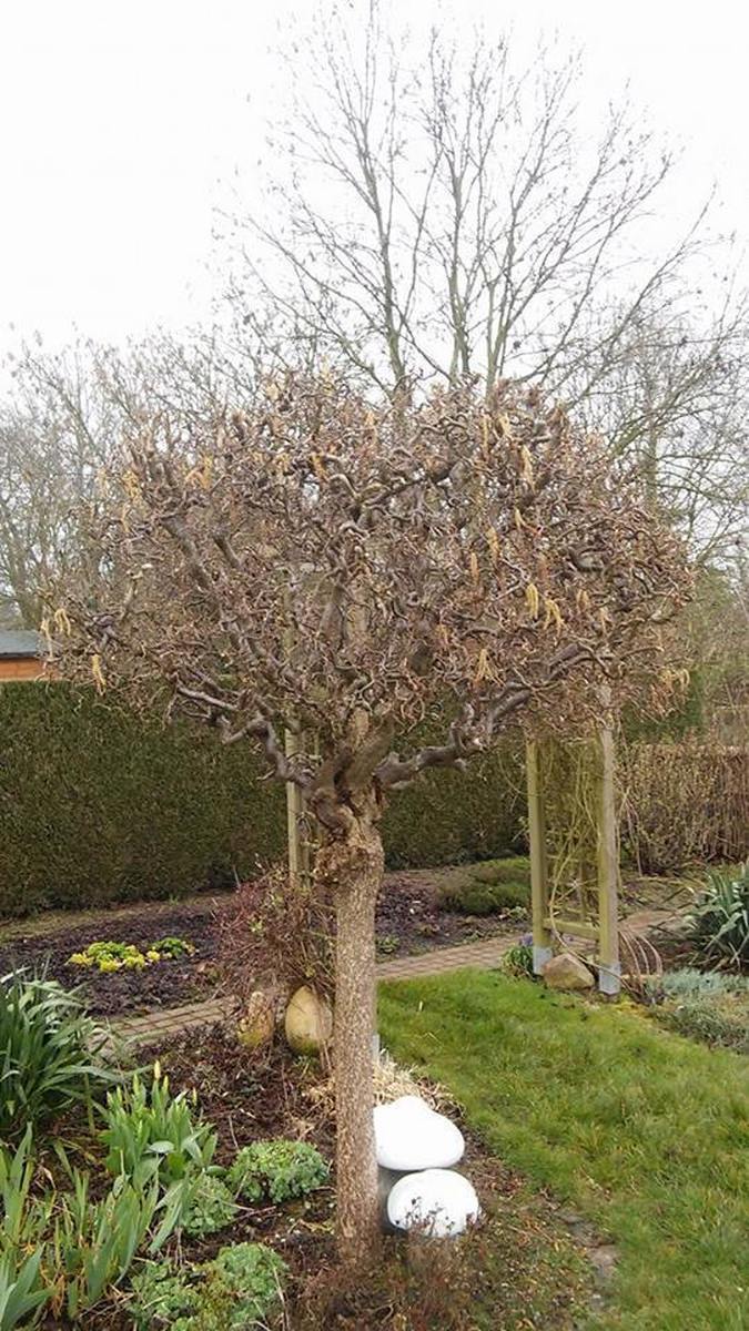 wim van mullem onderhoud 178